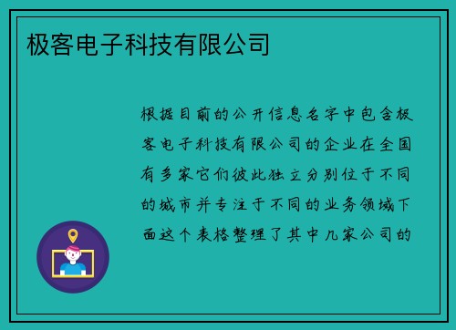 极客电子科技有限公司